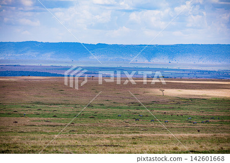 Kenya Photographers By Antony Trivet Photography Kenya Photographers By Antony Trivet Photography 142601668