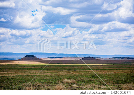 Kenya Photographers By Antony Trivet Photography 142601674
