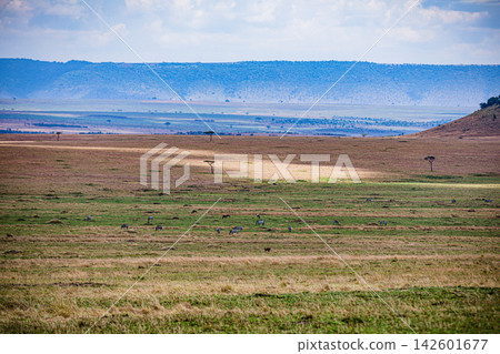 Kenya Photographers By Antony Trivet Photography Kenya Photographers By Antony Trivet Photography 142601677