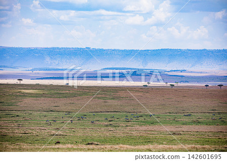 Kenya Photographers By Antony Trivet Photography Kenya Photographers By Antony Trivet Photography 142601695