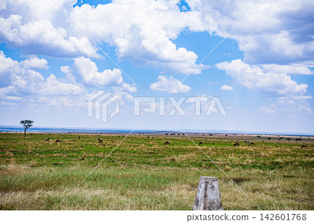 Kenya Photographers By Antony Trivet Photography Kenya Photographers By Antony Trivet Photography 142601768