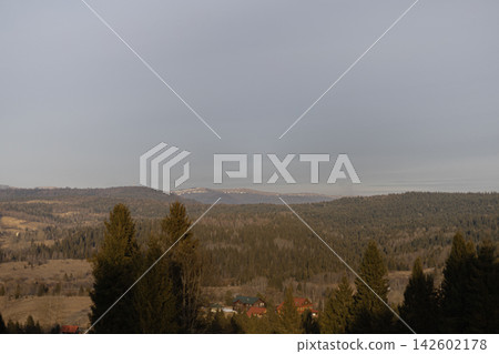 Forest landscape with hills and houses under overcast sky Forest landscape with hills and houses under overcast sky 142602178