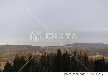 Forest landscape with rolling hills and lake under overcast sky 142602179