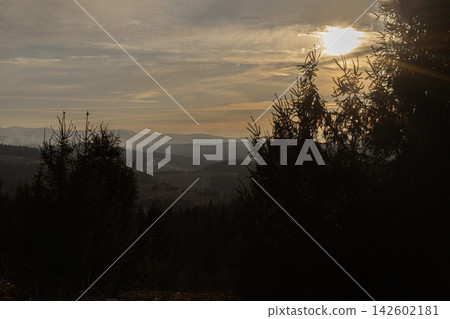 Sunset over forested mountains with silhouettes of pine trees Sunset over forested mountains with silhouettes of pine trees 142602181