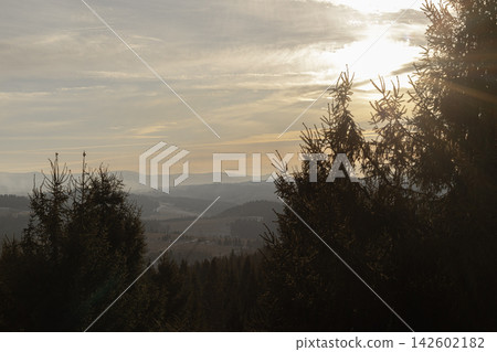 Forest landscape with mountains under a bright hazy sunset Forest landscape with mountains under a bright hazy sunset 142602182