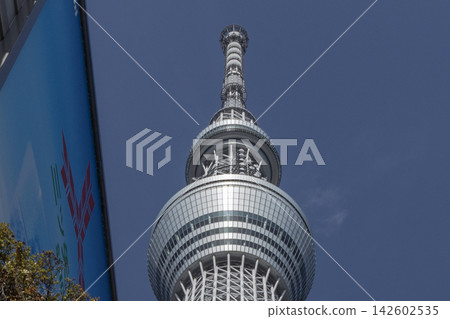 發光在藍天的天空樹 發光在藍天的天空樹 142602535