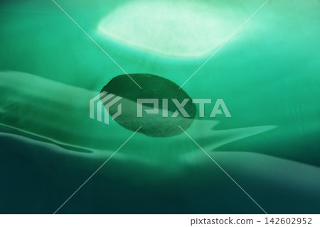 Background material Abstract material Abstract background Background material Abstract material Abstract background 142602952