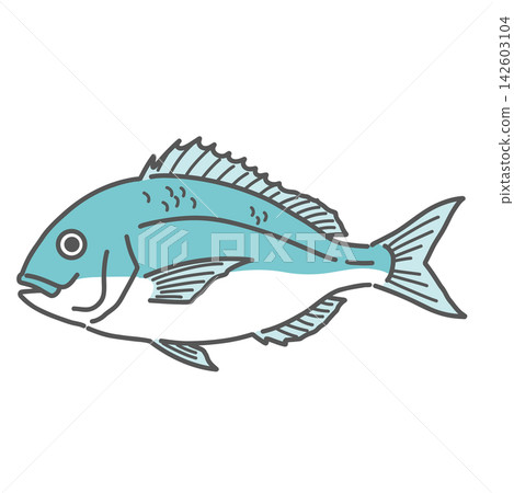 海鯛(tai)插圖 海鯛(tai)插圖 142603104