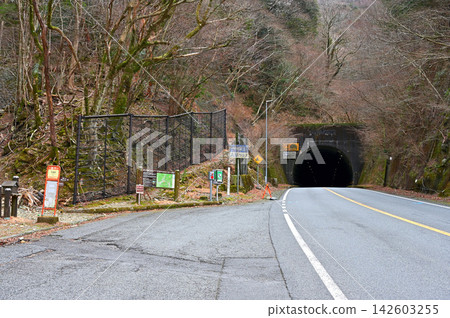 Izu City, Shizuoka Prefecture: The starting point of the Izu Mountain Ridge Trail, at the Amagi Pass bus stop on National Route 414. 142603255