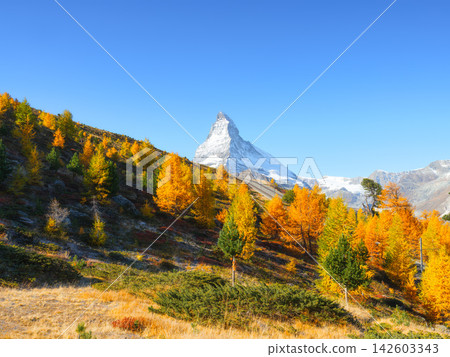 Matterhorn mountain peak rising above a colorful autumn forest in Zermatt, Switzerland. Matterhorn mountain peak rising above a colorful autumn forest in Zermatt, Switzerland. 142603343