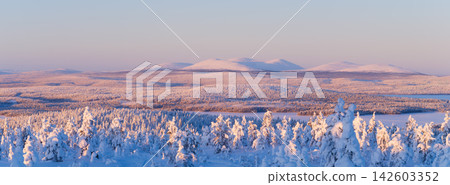 Panoramic view of snow covered trees in the forest with mountains on the horizon. Panoramic view of snow covered trees in the forest with mountains on the horizon. 142603352