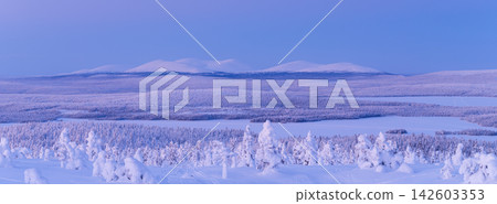Panoramic view of snow covered trees in the forest with mountains on the horizon. Panoramic view of snow covered trees in the forest with mountains on the horizon. 142603353