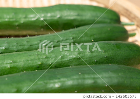 A collection of cucumbers freshly harvested from a home garden (August) - Cucumber cultivation in a home garden A collection of cucumbers freshly harvested from a home garden (August) - Cucumber cultivation in a home garden 142603575