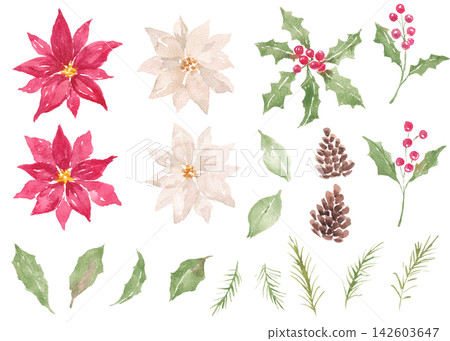 水彩畫冬季植物圖案 水彩畫冬季植物圖案 142603647
