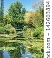高知縣北川村的莫內花園池塘、睡蓮和鼓橋 142603894