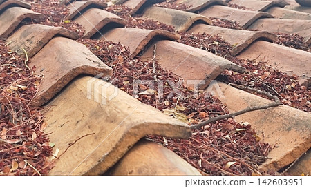 Close-Up of Terracotta Roof Tiles Covered in Dry Autumn Leaves and Debris Close-Up of Terracotta Roof Tiles Covered in Dry Autumn Leaves and Debris 142603951