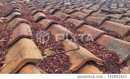 Close-Up of Terracotta Roof Tiles Covered in Dry Autumn Leaves and Debris Close-Up of Terracotta Roof Tiles Covered in Dry Autumn Leaves and Debris 142603952