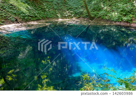 白神山，世界自然遺產：十二湖之藍池－神秘的藍色湖面和鬱鬱蔥蔥的森林景色。 142603986