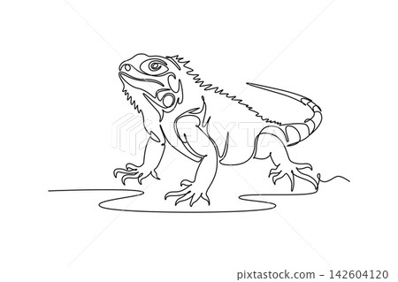 Single one line drawing iguana lizard crawling on the ground. Dorsal spines, textured skin, curved tail. Exotic reptile wildlife, zoo biology. Continuous line draw design graphic vector illustration Single one line drawing iguana lizard crawling on the ground. Dorsal spines, textured skin, curved tail. Exotic reptile wildlife, zoo biology. Continuous line draw design graphic vector illustration 142604120