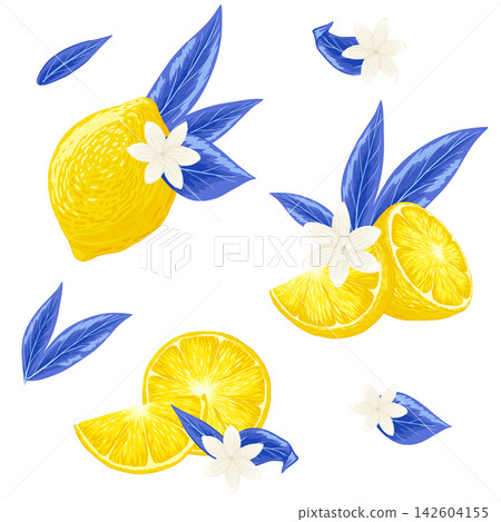Lemon, leaves composition vector illustration set. Lemon, blue leaves, jasmine flower for Menton lemons festival. Fruits for lemonade, juice, cocktail. Trendy retro print on white background Lemon, leaves composition vector illustration set. Lemon, blue leaves, jasmine flower for Menton lemons festival. Fruits for lemonade, juice, cocktail. Trendy retro print on white background 142604155