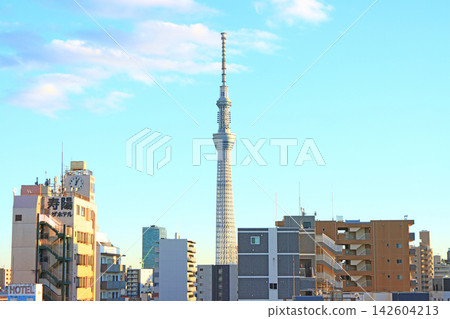 東京晴空塔與城市景觀,東京墨田區 東京晴空塔與城市景觀,東京墨田區 142604213