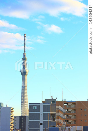 東京晴空塔與城市景觀,東京墨田區 東京晴空塔與城市景觀,東京墨田區 142604214