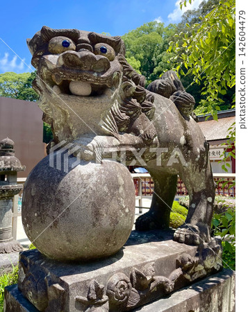 在太宰府天滿宮的守護犬 在太宰府天滿宮的守護犬 142604479