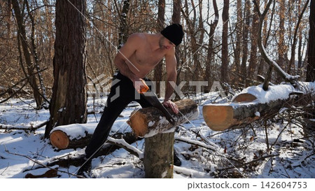 Shirtless man sawing a log in sunny winter forest. Strong guy working with saw in snowy woodland. The scene highlights human effort and outdoor activity in cold conditions. Slow mo 142604753