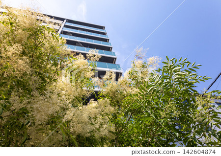 Urban apartment buildings viewed through lush greenery. 142604874