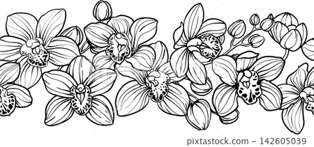 Horizontal border seamless pattern of orchid flowers, hand drawn sketch drawing. i Horizontal border seamless pattern of orchid flowers, hand drawn sketch drawing. i 142605039