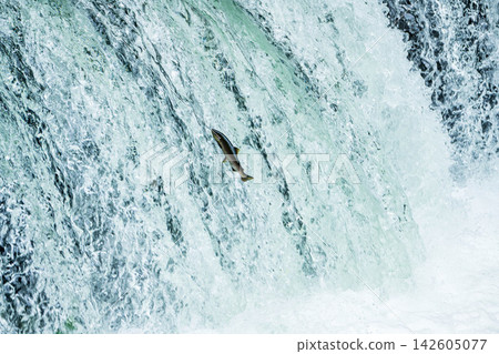 Climbing a cherry tree waterfall Climbing a cherry tree waterfall 142605077