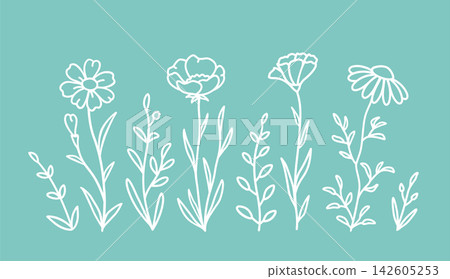 Wildflowers floral bundle, floral pattern, hand drawn decoration Wildflowers floral bundle, floral pattern, hand drawn decoration 142605253