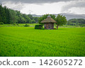 A small shrine surrounded by summer greenery 142605272