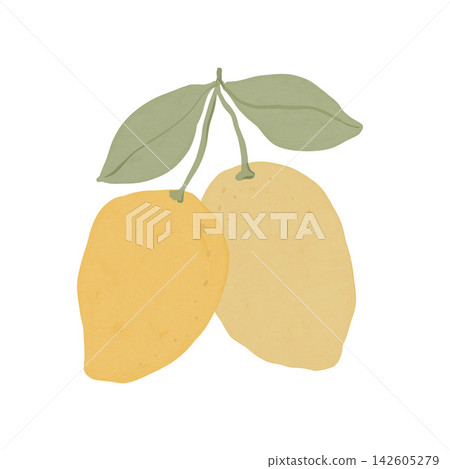 Two hand painted gouache lemons with green leaves on white background illustration. Two hand painted gouache lemons with green leaves on white background illustration. 142605279