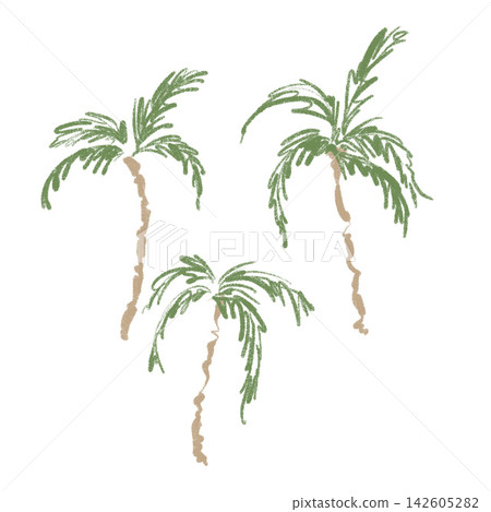 Minimal hand drawn tropical palm tree collection on white background illustration. Minimal hand drawn tropical palm tree collection on white background illustration. 142605282