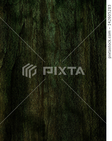 Dark green forest tree bark texture with moody natural mossy surface background. Dark green forest tree bark texture with moody natural mossy surface background. 142605283