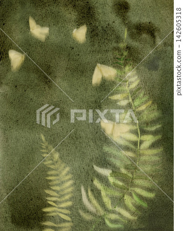 Moody dark green watercolor forest background with fern leaves and pale moths. Moody dark green watercolor forest background with fern leaves and pale moths. 142605318
