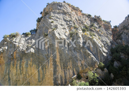 Rocky limestone peak with pines on top seen from below in the Rio Vero canyon Rocky limestone peak with pines on top seen from below in the Rio Vero canyon 142605393