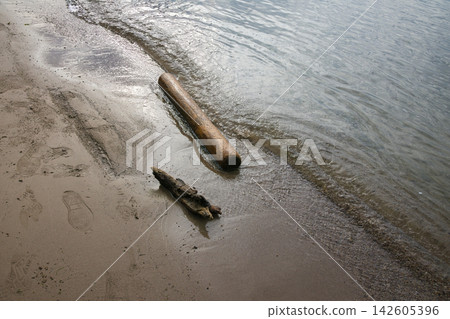Waves crashing on the sandy beach, driftwood, and footprints Waves crashing on the sandy beach, driftwood, and footprints 142605396