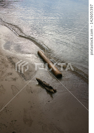 Waves crashing on the sandy beach, driftwood, and footprints Waves crashing on the sandy beach, driftwood, and footprints 142605397
