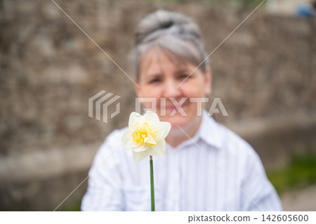 Mature woman smiling behind a white daffodil flower outdoors in soft focus. Menopause awareness womens wellness emotional balance and healthy aging Mature woman smiling behind a white daffodil flower outdoors in soft focus. Menopause awareness womens wellness emotional balance and healthy aging 142605600