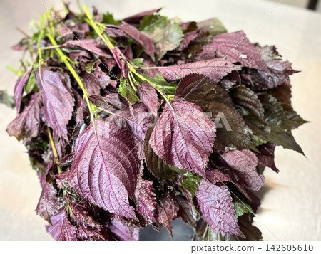 Red shiso juice making Red shiso juice making 142605610
