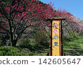 花友之鄉入口 142605647