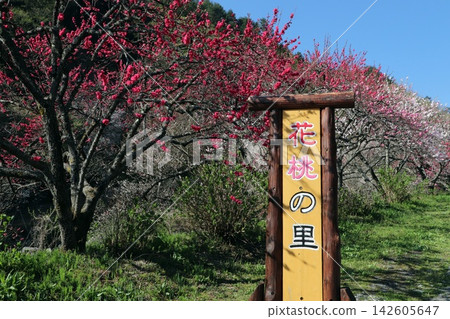 花友之鄉入口 花友之鄉入口 142605647