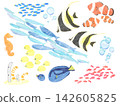 水彩風格的海洋生物插圖 142605825