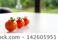 Fresh cherry tomatoes lined on white tabletop with soft garden background, bright natural daylight, minimal food composition, shallow depth of field, healthy organic produce, summer freshness, clean 142605951