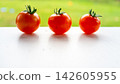 Three ripe red tomatoes lined on bright white surface with soft green garden blur behind, fresh produce still attached to stems, clean natural light and simple food composition 142605955
