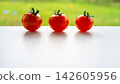 Three ripe red tomatoes with green stems arranged on white surface against soft blurred garden background with bright natural light and clean minimal composition 142605956