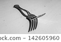 Close-up black pitchfork garden tool with curved metal tines on light concrete background, monochrome studio composition with scratches, shadow detail, and textured surface 142605960