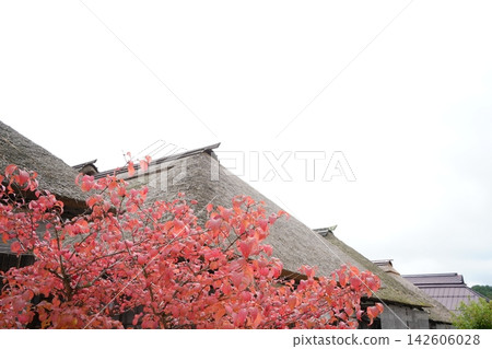 Thatched roofs and red-tinged leaves: Autumn in Ouchi-juku Thatched roofs and red-tinged leaves: Autumn in Ouchi-juku 142606028